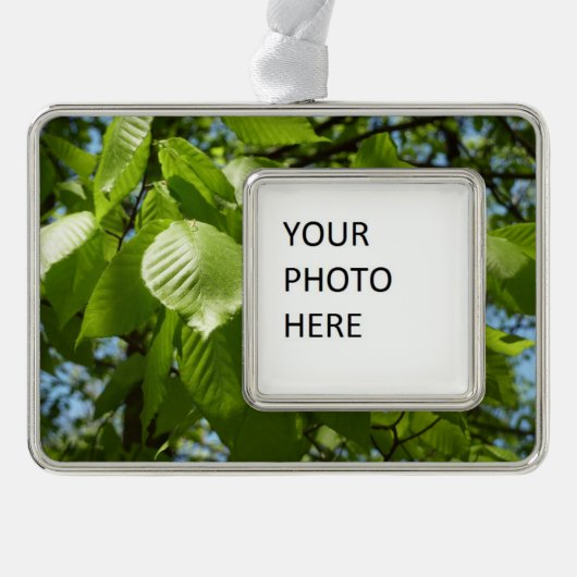 Spring Birch Leaves Green Tree Verzilverd Kader Ornament (Voorkant)