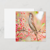 Spring Bird Eating Berries (Voorkant / Achterkant)