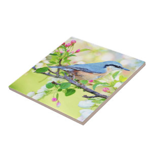 Spring Bird - Mooi Tegeltje