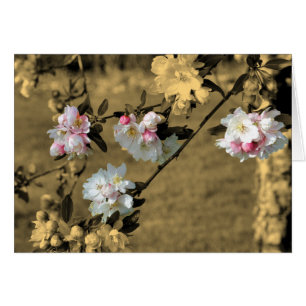 Spring bloesems on Sepia Flower Card