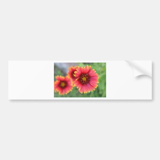Spring Bloom PT 2 Bumpersticker (Voorkant)