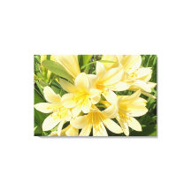 Spring Blooms Canvas