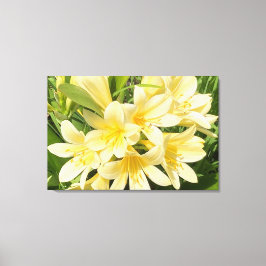 Spring Blooms Canvas Afdruk
