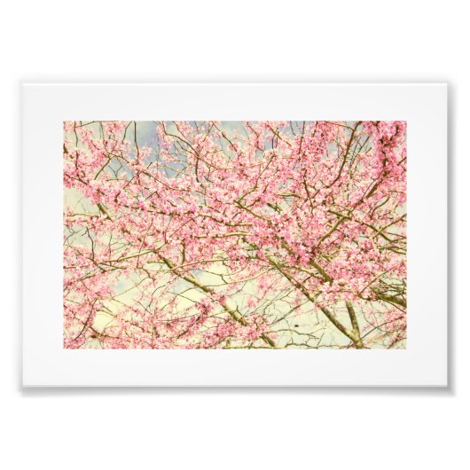 Spring Blossom Foto Afdruk (Voorkant)