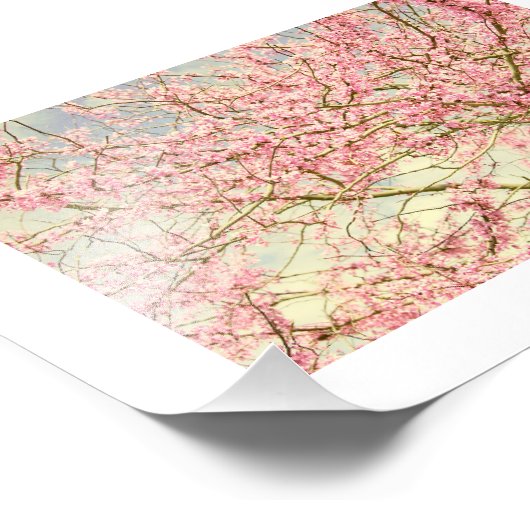 Spring Blossom  Foto Afdruk (Hoek)