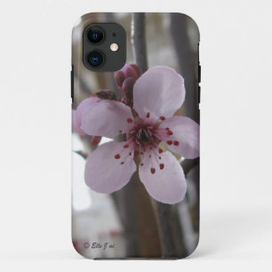 Spring Blossom iPhone 5 Hoesje