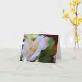 Spring Blossom Note Cards Kaart (Gele Bloem)