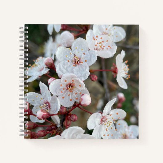 Spring Blossom Notitieboek (Voorkant)