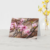 Spring Blossom op Zion Rocks Kaart (Gele Bloem)