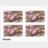 Spring Blossom op Zion Rocks Rechthoekige Sticker (Vel)