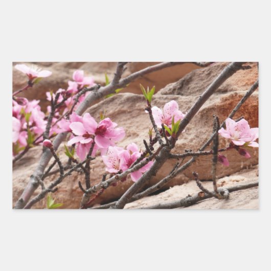 Spring Blossom op Zion Rocks Rechthoekige Sticker (Voorkant)
