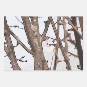 Spring Blossom Wrapping Paper Flat Sheet Set van 3