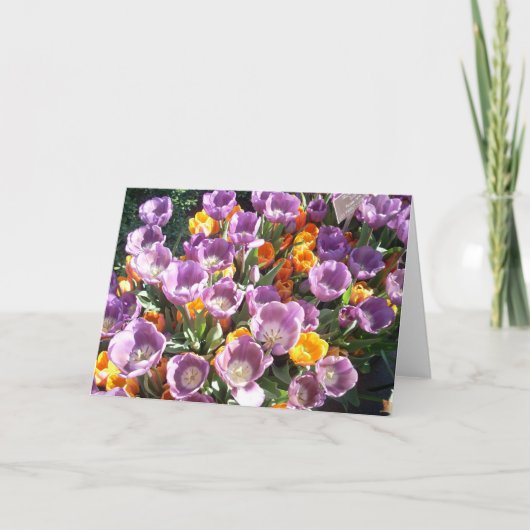 Spring Blossoms One Feestdagen Kaart (Voorkant)