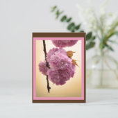 Spring Blossoms Postcard Briefkaart (Staand voorkant)