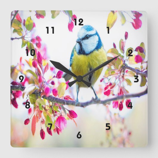 Spring Blue Bird Vierkante Klok (Voorkant)