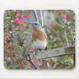 Spring Bluebird Mousepad Muismat