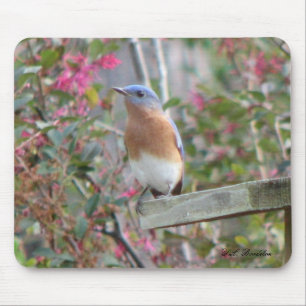 Spring Bluebird Mousepad Muismat
