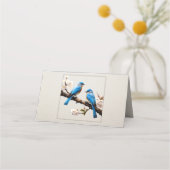 Spring Bluebirds Receptie (Achterkant)