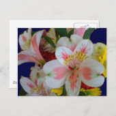 Spring Bouquet Briefkaarten (Voorkant / Achterkant)