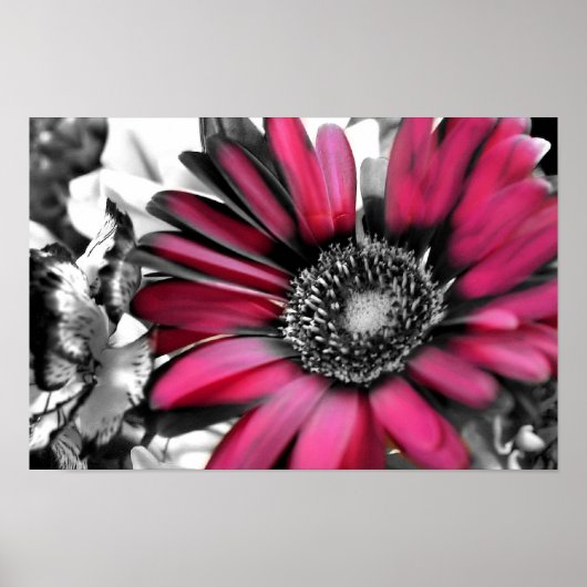 Spring Bouquet in Black & White Poster (Voorkant)
