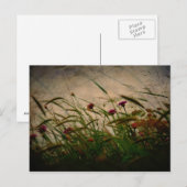 Spring Breeze briefkaart (Voorkant / Achterkant)