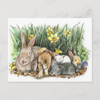 SPRING BRIEFKAART