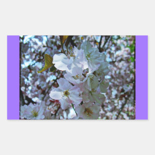 Spring Brooklyn Botanical Gardens Rechthoekige Sticker