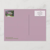 "SPRING BURSTS FORTH AT IN INNISWOOD" BRIEFKAART (Achterkant)