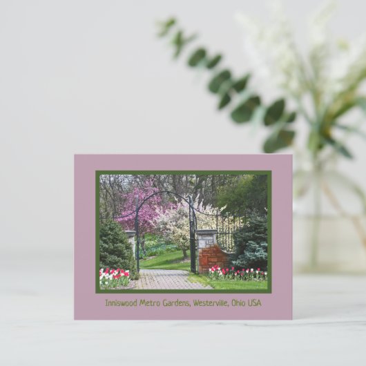 "SPRING BURSTS FORTH AT IN INNISWOOD" BRIEFKAART (Staand voorkant)