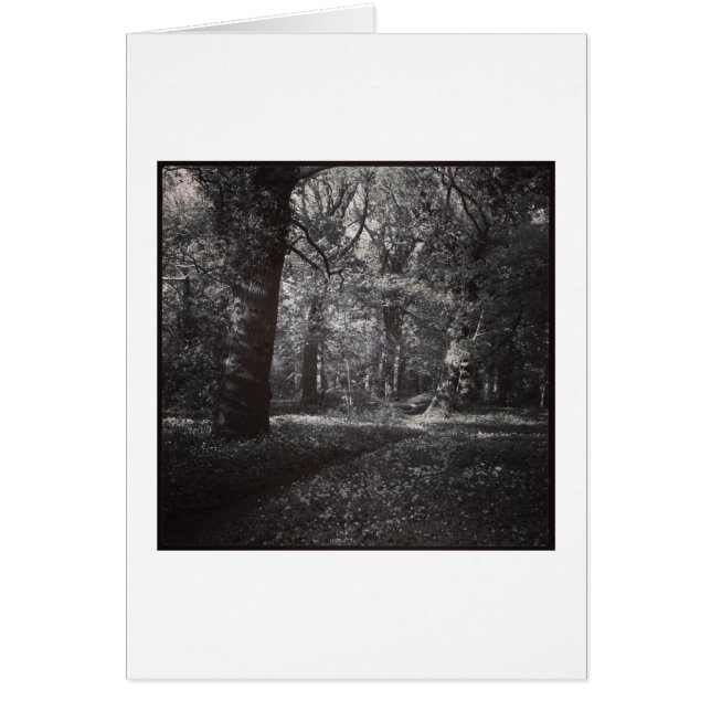 Spring Bute Park, Cardiff, Pays de Galles (Devant)