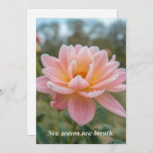 Spring Card Feestdagenkaart (Voorkant / Achterkant)