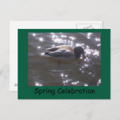 Spring Celebration Briefkaart (Voorkant / Achterkant)
