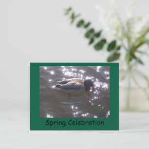 Spring Celebration Briefkaart