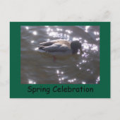 Spring Celebration Briefkaart (Voorkant)