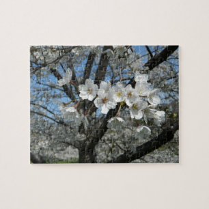 Spring Cherry Blossom Legpuzzel