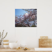 Spring Cherry Blossom Poster (Keuken)