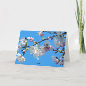 Spring Cherry Blossoms Kaart (Achterkant)
