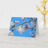 Spring Cherry Blossoms Kaart (Gele Bloem)