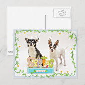 Spring Chihuahua's Briefkaart (Voorkant / Achterkant)