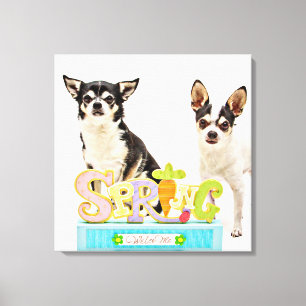 Spring Chihuahua's Canvas Afdruk