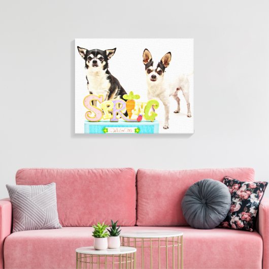 Spring Chihuahua's Canvas Afdruk (Insitu (Woonkamer))