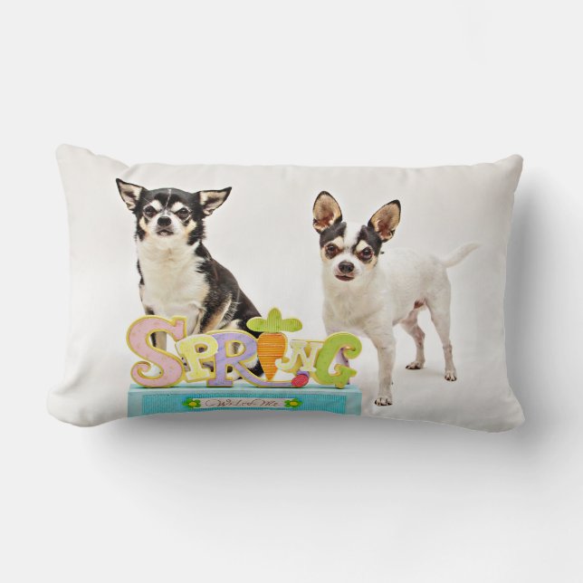Spring Chihuahua's Kussen (Voorkant)