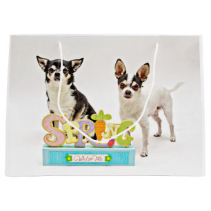 Spring Chihuahua's Large Cadeautasje