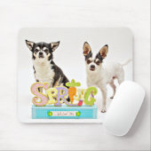 Spring Chihuahua's Muismat (Met muis)