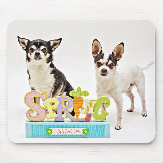 Spring Chihuahua's Muismat (Voorkant)