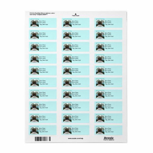 Spring Covered Bridge Etiket (Full Sheet)