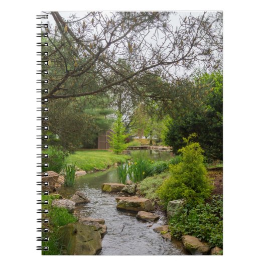 Spring Creek Beauty Notitieboek (Voorkant)