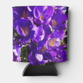 SPRING CROCUS BLIKJESKOELER (Voorkant)