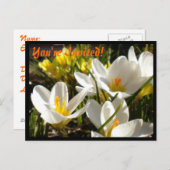 Spring Crocus Briefkaart Uitnodigingen (Voorkant / Achterkant)