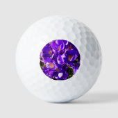 SPRING CROCUS GOLFBALLEN (Voorkant)